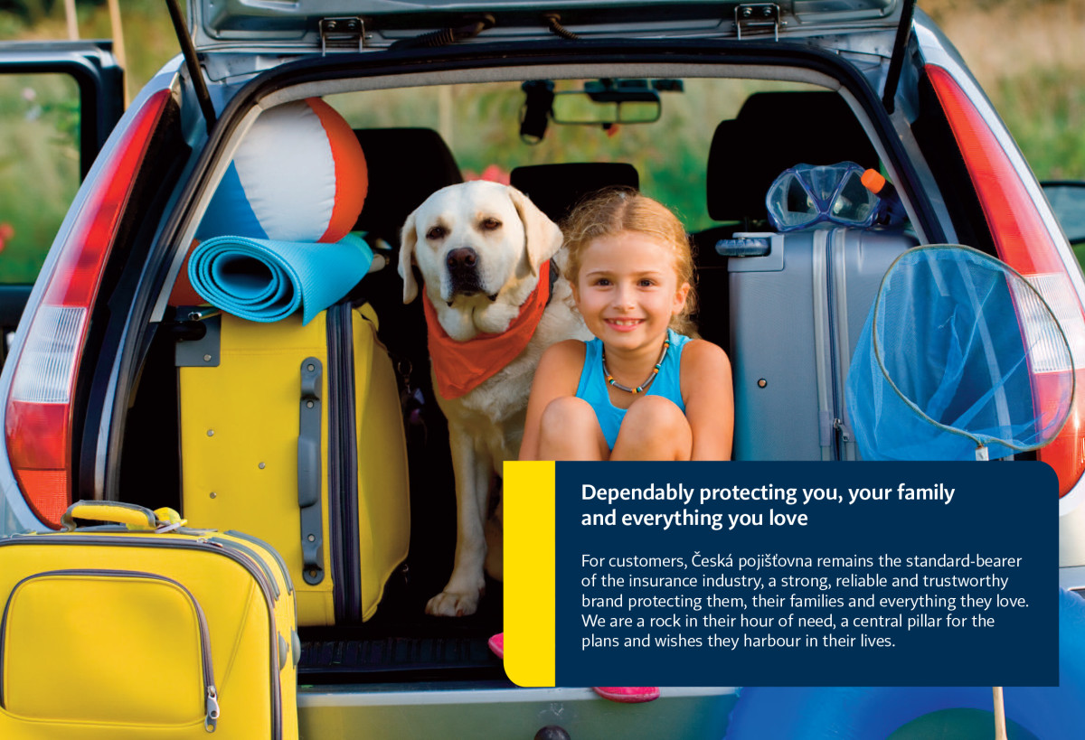 Dependably protecting you, your family and everything you love